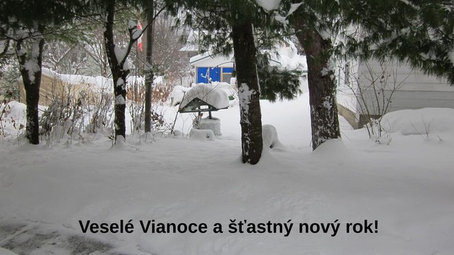 Image for Šťastlivé a veselé