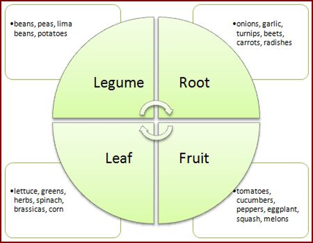 Image for Garden Crop Rotation  Detail