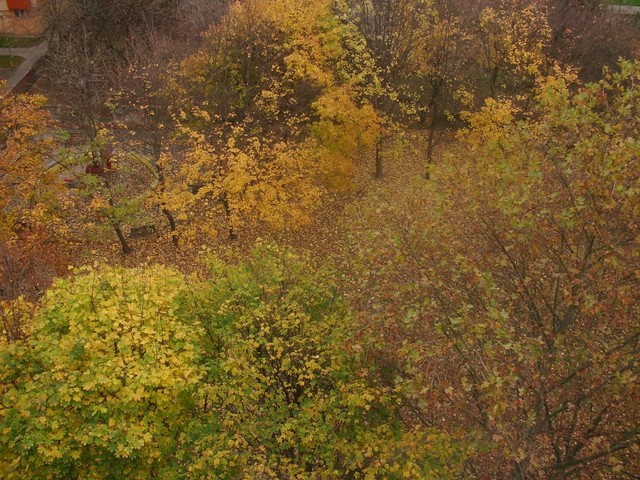 Image for Jeseň z môjho okna 2