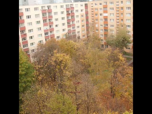 Image for Jeseň z môjho okna 3