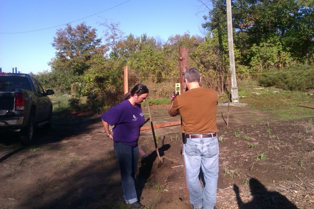 Image for Today in Community Garden